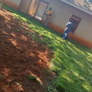 FRESH FRESH LAWN ROLLS