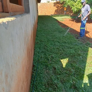 FRESH FRESH LAWN ROLLS