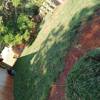 FRESH FRESH LAWN ROLLS