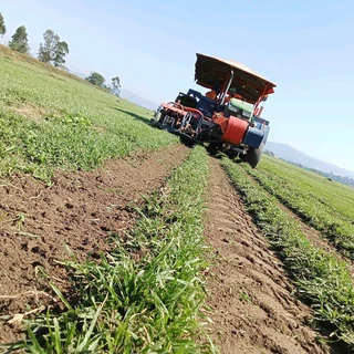 QUALITY INSTANT LAWN