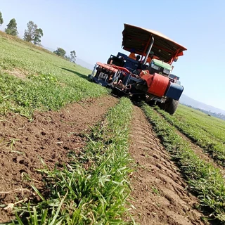 QUALITY INSTANT LAWN