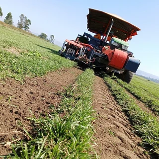 Quality Instant Lawn