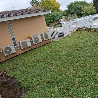 Lawn instant grass