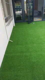 PAVING ASTRO TURF