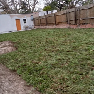 INSTANT LAWN