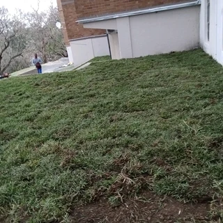 INSTANT LAWN