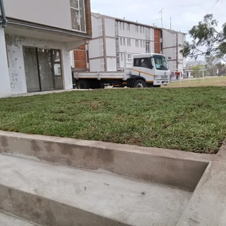 INSTANT LAWN GRASS