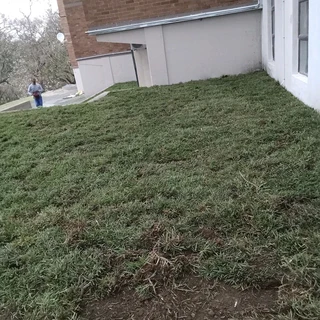 FRESH GRASS LAWN