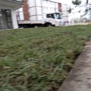 BEREA KIKUYU BUFFALO ROYAL BLUE