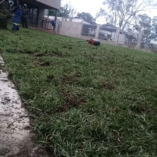 BEREA KIKUYU BUFFALO ROYAL BLUE