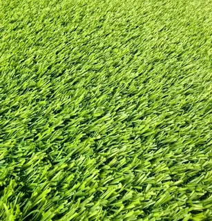 Astro Turf Grass