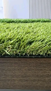 Astro Turf Grass