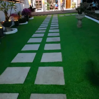 Fake Grass