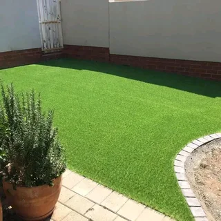 Green Turf Grass