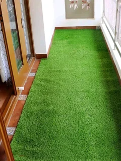 Fake Grass/Astro turf