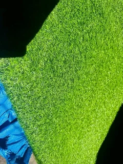 Fake Grass/Astro turf