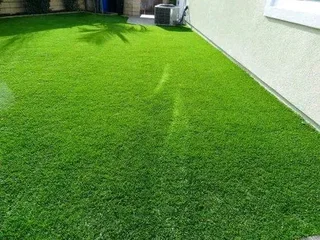Fake Grass/Astro turf