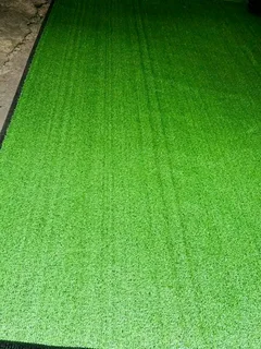 Fake Grass/Astro turf