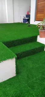 Fake Grass/Astro turf