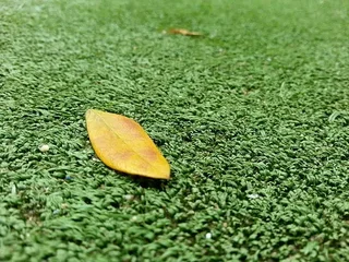 Astro Turf Grass