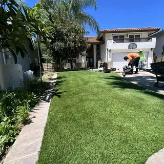 Fake Grass/Astro turf