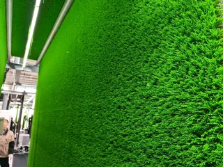 Golf Course Turf Pave