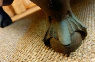 Solid tamboti display cabinet 1940s tambotie hardwood