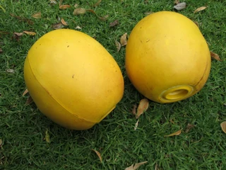Buoys boating diving fishing markers
