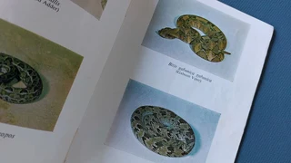 Don&#39;t Die in the Bundu classical survival bushcraft guide manual Rhodesia Col Granger