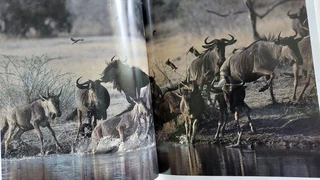 Wildernis Daeraad book nature wold animals conservation