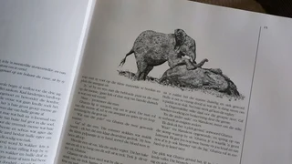 Wildernis Daeraad book nature wold animals conservation