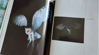 Wildernis Daeraad book nature wold animals conservation