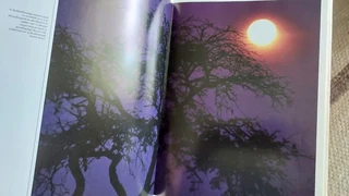 Wildernis Daeraad book nature wold animals conservation