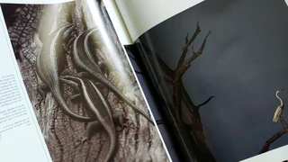 Wildernis Daeraad book nature wold animals conservation