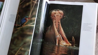 Wildernis Daeraad book nature wold animals conservation