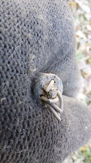 Radio antenna cable cabling signal