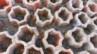 Bricks tiles hollow for footpath plants grass etc