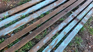 Kiaat African wild teak Pterocarpus Angolensis wood wooden pieces cuts bench