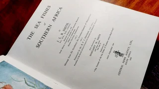 Vintage antique book guide Sea Fishes of Southern Africa 1965 hard-cover