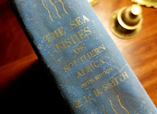 Vintage antique book guide Sea Fishes of Southern Africa 1965 hard-cover