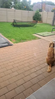 Am looking job's as garden boy part time, my name is Moses