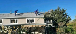 Northwold painters 0682831278