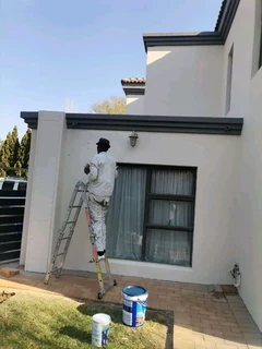 Centurion painters