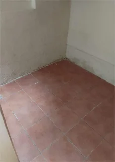 Outside room to rent in Lyndhurst