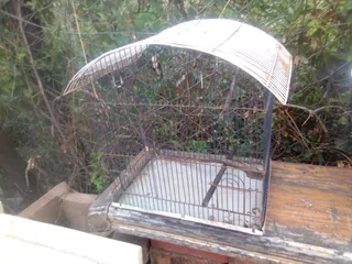 Bird cages