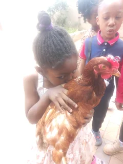 Preschool and Aftercare 2026