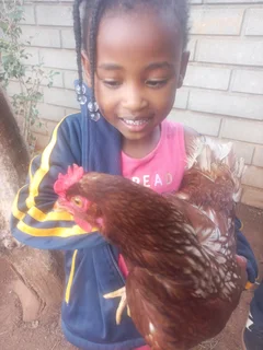 Preschool and Aftercare 2026