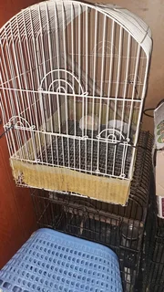 Urgent Sale: 2 x Bird Cages Medium and Large Sizes