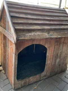 Dog Kennel