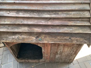 Dog Kennel